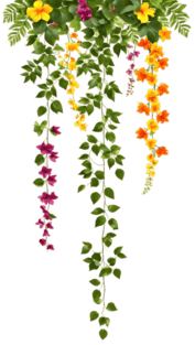 hang-flower